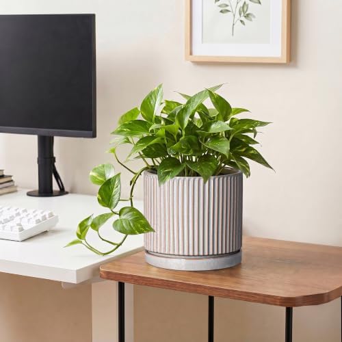 8 Inch Plant Pots, Ceramic Flower Pot, Round Planter with Tray, Grey - Image 5