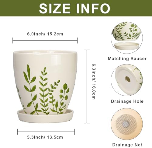 MPotTo Ceramic Pots for Plants - 6 Inch Plant Pot for Indoor Outdoor Plants, Ceramic Planter with Drainage Hole and Saucer, Decorative Round Planter, Gifts for Plant Lovers, Home Room Decor, White - Image 2