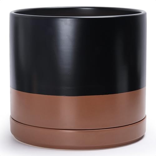 D'vine Dev 14 Inch Ceramic Planter Pot, Black/Tan, 94-O-G-7 by DvineDevPlanterPotsandStand