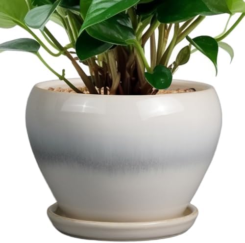 Ceramicfor Planter Pot 6 Inch - Ceramic Plant Pot with Drainage Hole and Saucer, Round Glaze Succulent Pot for Plants, White by Ceramicfor
