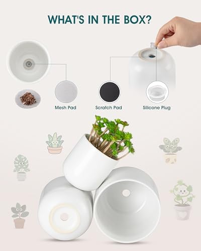 vancasso Ceramic Plant Pots, 4+5+6 inches, Set of 3, Planters with Drainage Hole, Flower Pots Planters Pots for Indoor Plants, Modern Indoor Decorative Garden Pot, Home Decor, White - Image 3