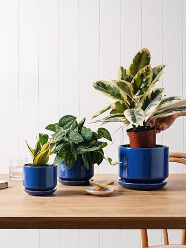 LE TAUCI Ceramic Plant Pots, 4.3+5.3+6.8 inch, Set of 3, Planters with Drainage Hole and Saucer, Indoor Flower Pot with Hole Mesh Pad, Gifts for Mom, Sapphire Blue - Image 4