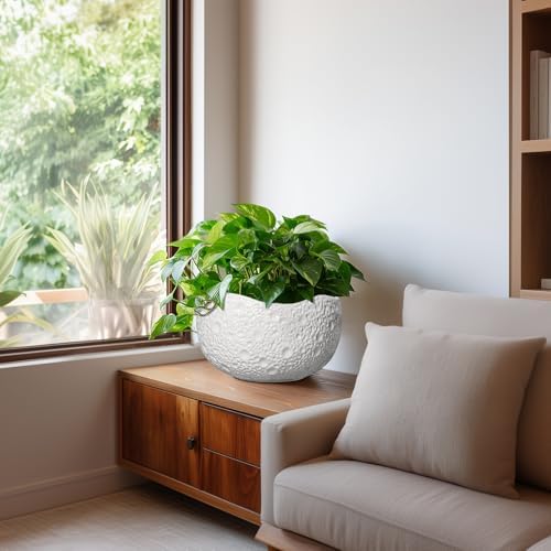 10 Inch Plant Pot - Ceramic Planter for Indoor Outdoor, Round Bonsai Pots, Decorative Flower Pots with Drainage Hole, Modern Unique Planters, House Decor, Home Gifts, White - Image 6