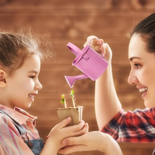 5pcs Mini Metal Watering Cans for Kids Small Galvanized Iron Watering Pot for Indoor Plants Succulents Decorative Vintage Style Flower Waterer for Home Craft Party Favors Housewarming - Image 7