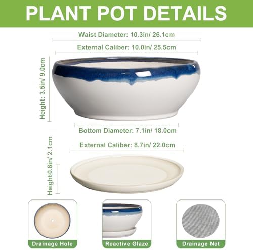 SQOWL Bonsai Pots, 10 Inch Ceramic Pots for Succulents, Blue Off-White - Image 2