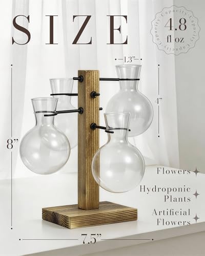 Plant Propagation Stations with Wood Stand, 4 Vases Bulb Shape - Image 2
