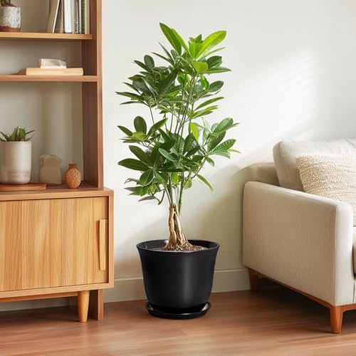 Ceramic Pots for Plants - 10 Inch Plant Pot with Drainage Hole and Tray, Large Round Planter for Indoor Outdoor, Morden Decorative Flower Pots, Living Room Decor, Gardening Gifts, Black - Image 4
