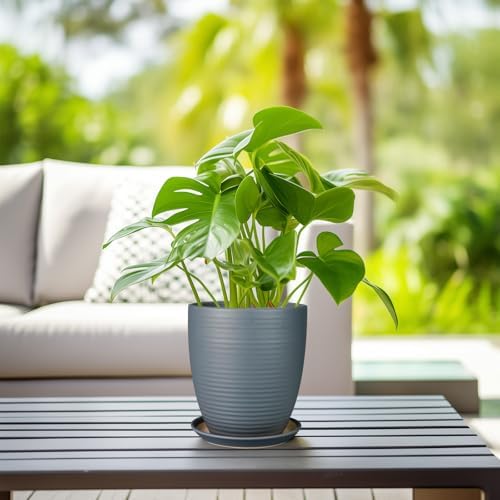 8 Inch Ceramic Plant Pot Large Planter Pot for Plants Indoor Outdoor Glaze Flower Pot with Drainage Hole and Saucer Gray - Image 6