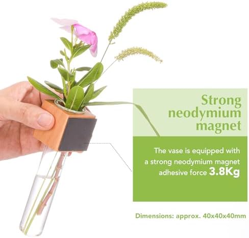 Wooden Wall Planter Glass Plant Propagation Stations Fridge Glass Tube Single Stem Bud Vase 2Pcs/Set Modern Decorative Cube Wood Window Flower Vase Refrigerator Magnetic Mini Glass Vase with Dropper - Image 2