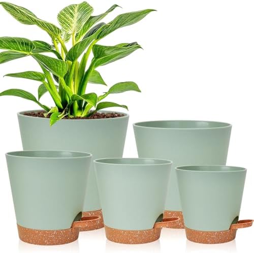 Vanslogreen Planters for Indoor Plants 7/6.5/6/5.5/5 Inch, Self Watering Planters with Drainage Holes and Saucers 5 Pack Plastic Pots for Plants, Succulents, Herbs, Cactus, Flower Pots, Green by Vanslogreen