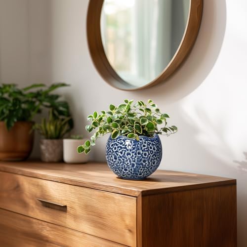 4 Inch Plant Pots - Small Ceramic Planter with Drainage Hole, Succulent Pots for Indoor Outdoor, Unique Round Planter, Modern Decorative Flower Pot, Desk Decor, Plant Lovers Gifts, Blue - Image 6