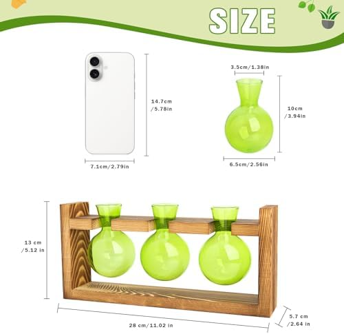 XXXFLOWER Plant Terrarium Jar Propagation Station Stand 3 Green Bulb Vases - Image 2