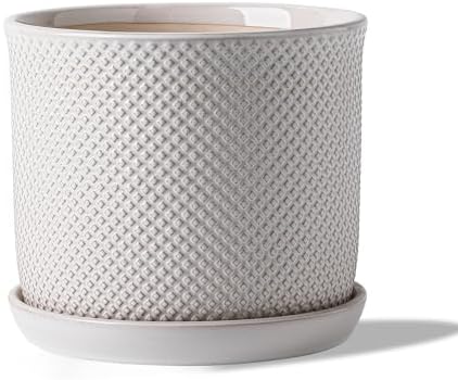 8 Inch Plant Pot: Ceramic Planter with Drainage Hole & Saucer Indoor Outdoor Plants - Flowerpot with Bonded Tray for Home Office - Beaded Embossed Style, Cream White by Chubacoo