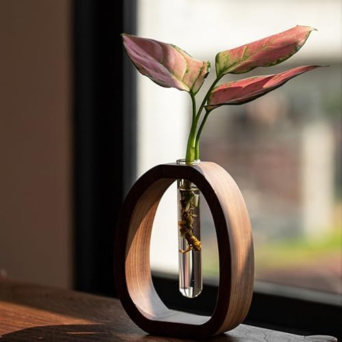 Propagation Vases Arrangements, Wood Stand, Glass Test Tubes, Decor - Image 2