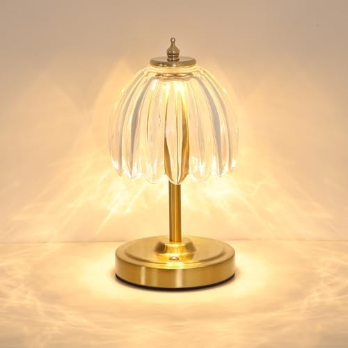 Shenmoyl Tulip Small Table Lamp, 5200mAh Cordless Touch Control Mini Table Lamp with 3 Color Temps & Stepless Dimming, Perfect for Small Spaces like Dressers, Bedsides, Bookshelves (Transparent Tulip) by Shenmoyl