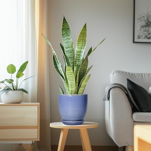6 Inch Ceramic Pots for Plants - Ceramic Plant Pots with Drainage Hole and Saucer, Flower Pot for Indoor Plants, Round Modern Planter, Apartment Decor, Housewarming Gifts, Blue-Purple - Image 5