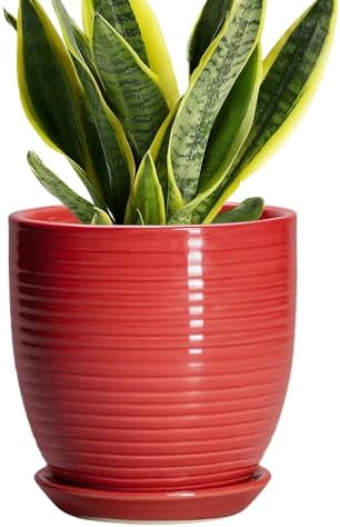 6 Inch Ceramic Plant Pot - Ceramic Pots for Plants, Round Planter with Drainage Hole and Saucer, Modern Flower Pots for Indoor Plants, Desk Home Office Decor, Plant Lover Gifts, Glossy Red by EPFamily