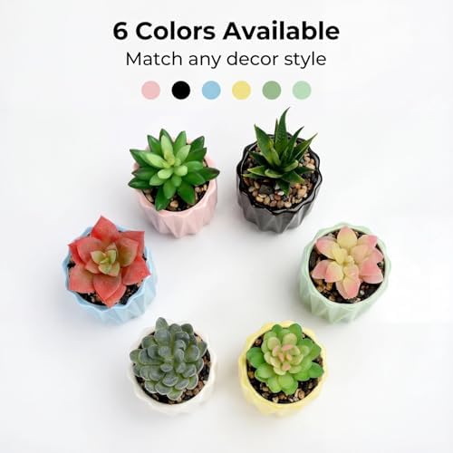Succulent Plant Pots Ceramic Plant Pots and Drainage Hole Bonsai Planter Small Flower Pots for Indoor Outdoor Use for Home Office Garden Decoration,Plants Not Included (Blue) - Image 7