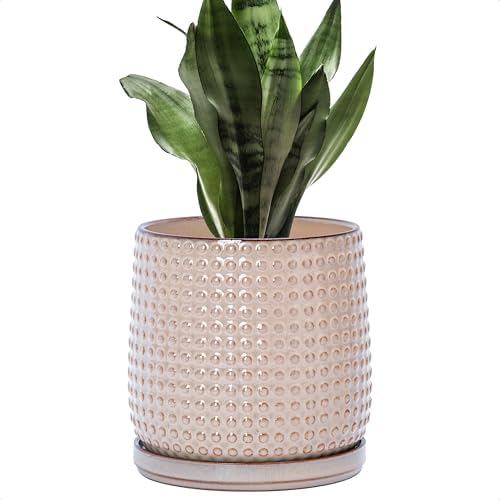 D'vine Dev Beaded Ceramic Pot with Saucer, 6 in, Light Brown, 27-C-X-4 by DvineDevPlanterPotsandStand