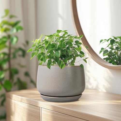 G EPGardening Ceramic Pots for Plants 7 Inch, Grey - Image 6