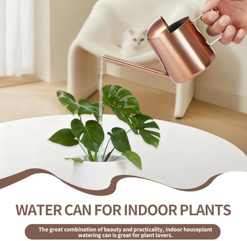10oz/300ml Watering Can Indoor Plants, Long Spout Small Watering Sprinkling Pot Mini Stainless Steel Water Can Garden Water Pot for Indoor House Plants Bonsai - Image 2