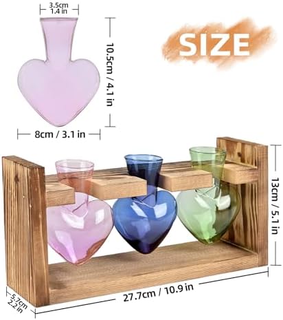 Plant Terrarium Propagation Stations Hydroponics - Image 4