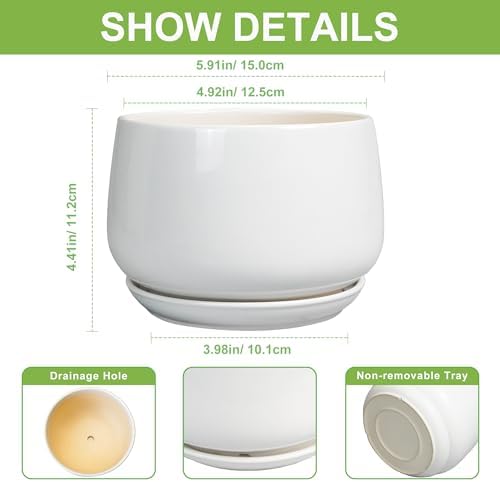 G EPGardening Ceramic Pots for Plants - 6 Inch Planter for Indoor Plants, Flower Pots with Drainage and Ceramic Tray, Modern Office Decor, Gifts for Plant Lovers, White - Image 3