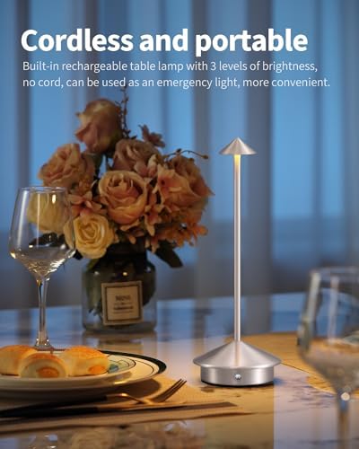 Modern Cordless Table Lamp Set of 2, Brushed Nickel LED Desk Lamps - Image 2