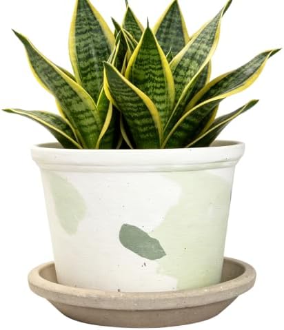 3.3 Inch Small Ceramic Planter Pot with Drainage Hole and Saucer, Artistic Spotted Flower Pot for Indoor Succulent Plants, Home Office Desk Decor(White&Green) by DecoVlog