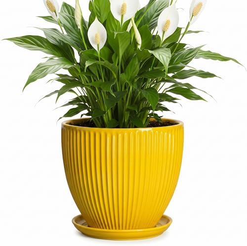 8 Inch Pots for Plants, Ceramic Plant Pots for Indoor Plants, Round Ceramic Planter with Drainage Hole and Saucer, Modern Decorative Plant Pot, Home Kitchen Decor, Women Men Gifts, Yellow by Unknown