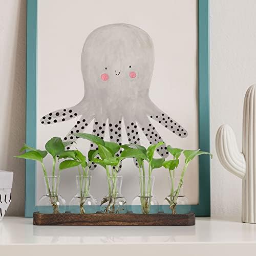 YIBOT Propagation Vases for Plants Terrarium with Wooden Tray,5 Glass Vases - Image 4