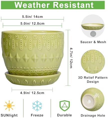 G EPGardening Ceramic Planter 5.5 Inch, Boho Plant Pot Indoor, Green - Image 3