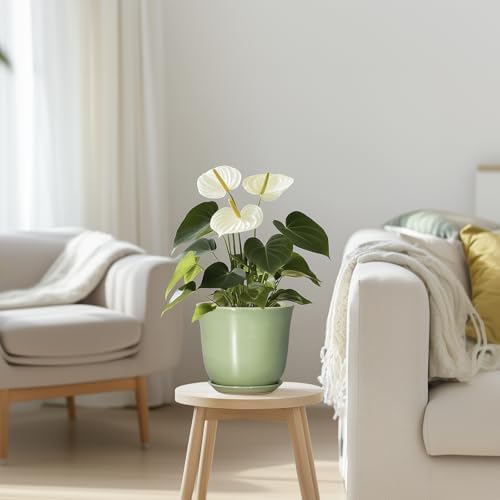5.6 Inch Plant Pot - Ceramic Pots for Plants Indoor Outdoor, Round Orchid Succulent Pot with Drainage Hole and Saucer, Modern Small Planter, Home Room Window Decor, Plants Lover Gift, Green - Image 7