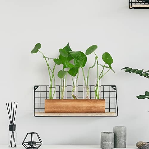 YIBOT Plant Propagation Station, Plant Terrarium with Wooden Stand - Image 5