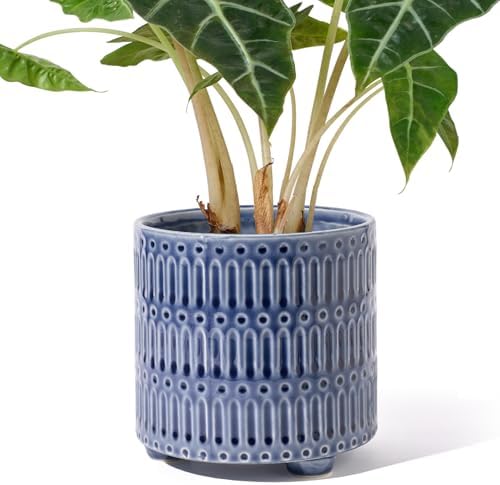 STHIE 5 Inch Ceramic Planters for Indoor Plants, Blue Cactu Snake Plant Pot by STHIE