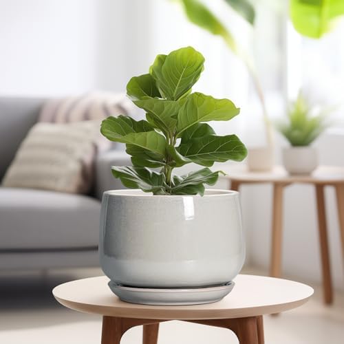 G EPGardening Ceramic Plant Pots 9 Inch, Light Grey - Image 4