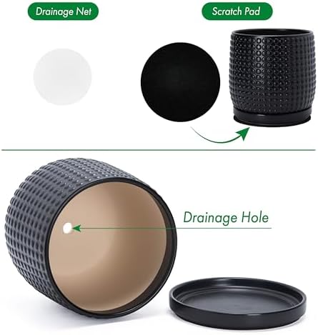D'vine Dev Beaded Ceramic Pot with Saucer, 8 in, Ebony Matte, 27-C-Q-6 - Image 4