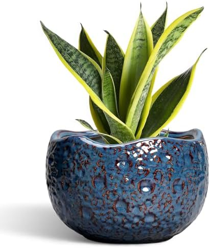 8 Inch Plant Pot, Ceramic Planter for Indoor Plants, Retro Blue by Thirtypot