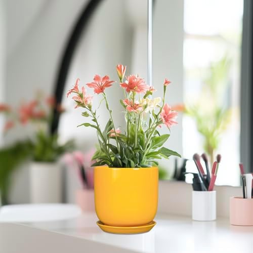 Plant Pot 5 Inch - Modern Round Indoor Ceramic Planter with Drainage Hole and Tray for Succulent Cactus Herbs Plants, Home House Garden Office Decor, Yellow - Image 6