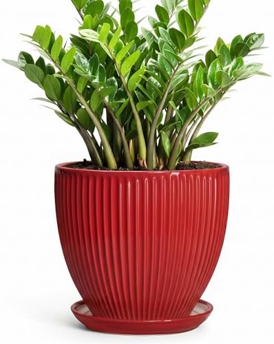 10 Inch Plant Pot, Ceramic Planters for Indoor Plants, Decorative Plant Pots with Drainage Hole and Saucer, Modern Round Large Planter, Office Apartment Decor, House Warming Gifts, Red by Unknown