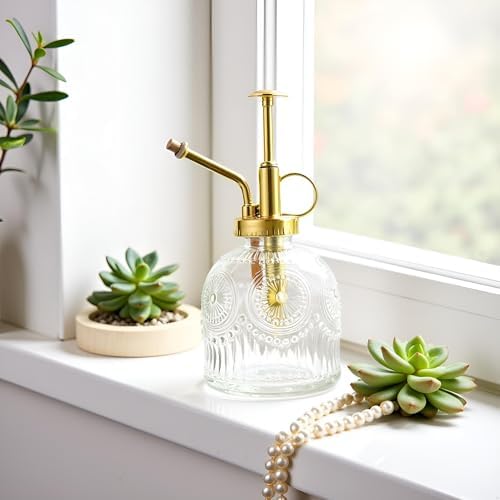 Glass Plant Mister Spray Bottle, 230ML Vintage Plant Spritzer, Succulent Watering Bottle Glass with Top Pump, Small Plants Sprayer Watering Can for Indoor Outdoor House(Clear) - Image 3