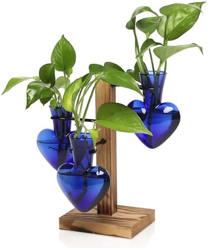 Plant Terrarium Propagation Stations with Wooden Stand by CYZglass