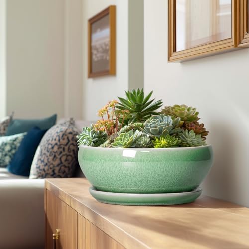 SQOWL Succulent Planter 12 Inch, Ceramic Bonsai Pots with Saucer, Green - Image 3