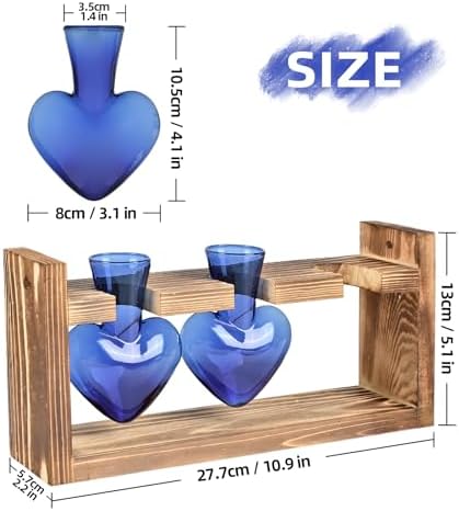 Plant Terrarium Propagation Stations Hydroponics - Image 4