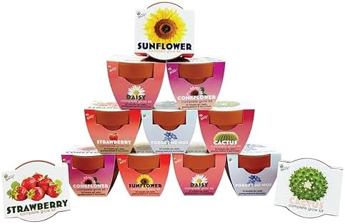 BUZZY Seeds Assorted Flower Grow Kit 12-Pack, Terracotta Pots, 6 Types by BUZZY
