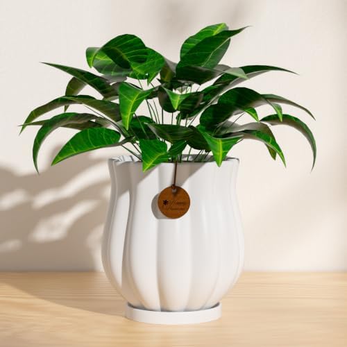 5.8" Matte White Ceramic Plant Pot with Saucer - Image 4