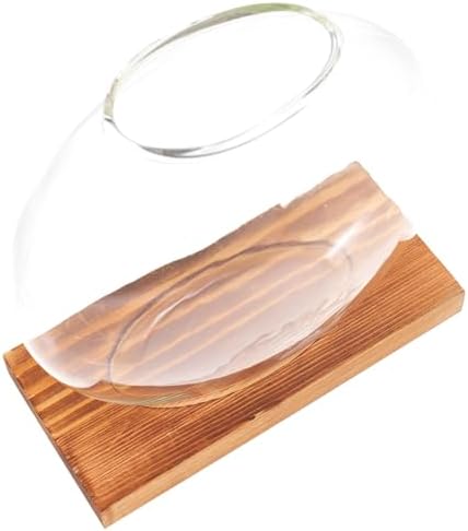 Hydroponic Glass Plant Vase with Wooden Base 5.03In Desktop Planter for Indoor Propagation Terrarium Home Office Decoration and Housewarming Gift by HAKIDZEL