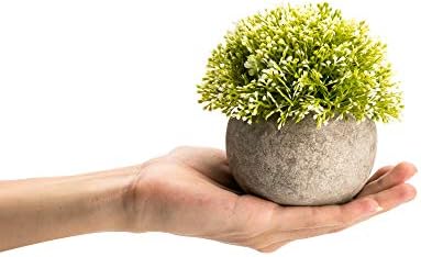 Velener White Mini Artificial Plant Topiary Ball Pot Set- Magnolia Flowers Cottagecore Decor Indoor Plant Shelf Home Office Small Desk Decorations Green Room Accessories Bathroom Kitchen Counter Aloe - Image 3
