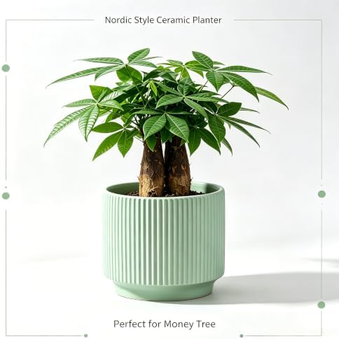 Ceramic Pots 5.1 Inch Fluted Green Ceramic Planters Round Flower Pots with Drainage Hole for Desk Modern Office Living Room Table Shelf Home Indoor Outdoor Decor (Green, Medium) - Image 3