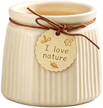 Pastel Ceramic Succulent Pots, Small Mini Flower Planter Pots with Jute Tag, Decorative Indoor Cactus Plant Container for Home Windowsill Desktop Decor (Beige) by Unknown